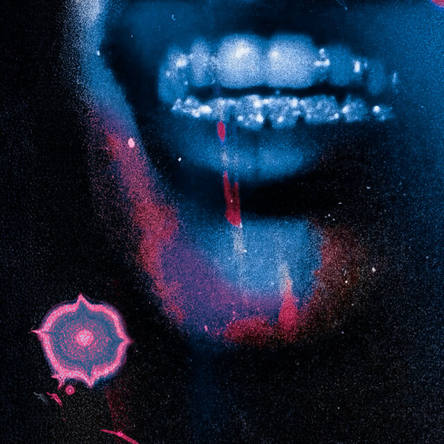 LSD