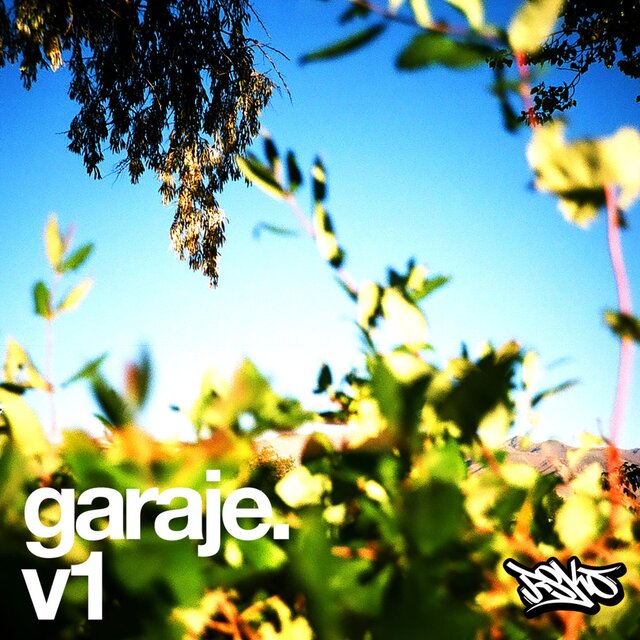 garaje.v1