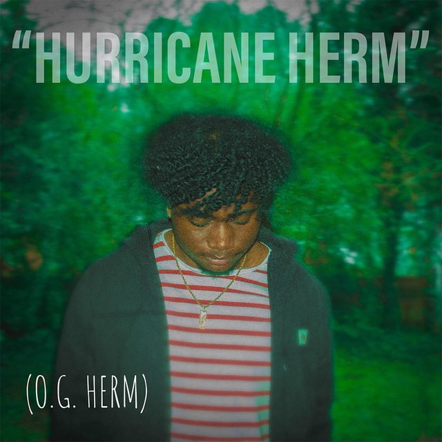 Hurricane Herm