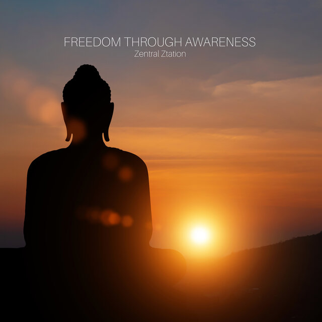 Freedom Through Awareness