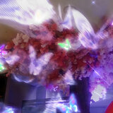 Mil Rosas