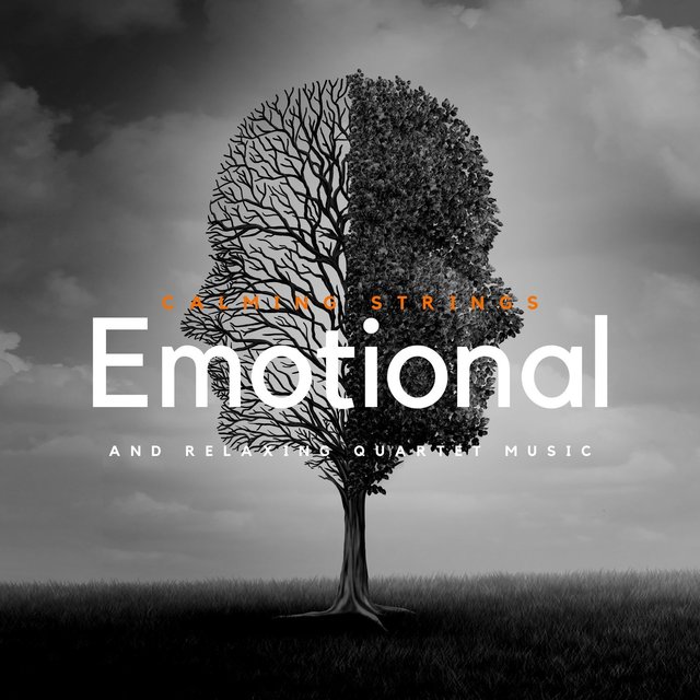 Emotional and Relaxing Quartet Music