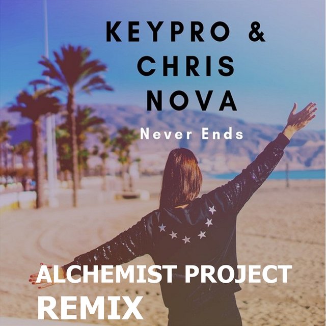 Never Ends (Alchemist Project Remix)