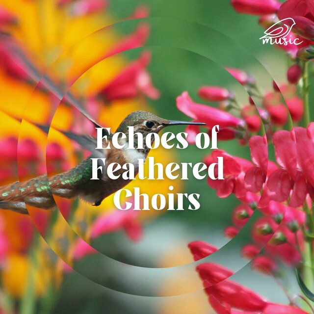 Echoes of Feathered Choirs