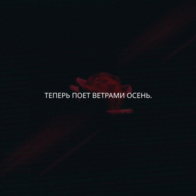 Теперь поет ветрами осень