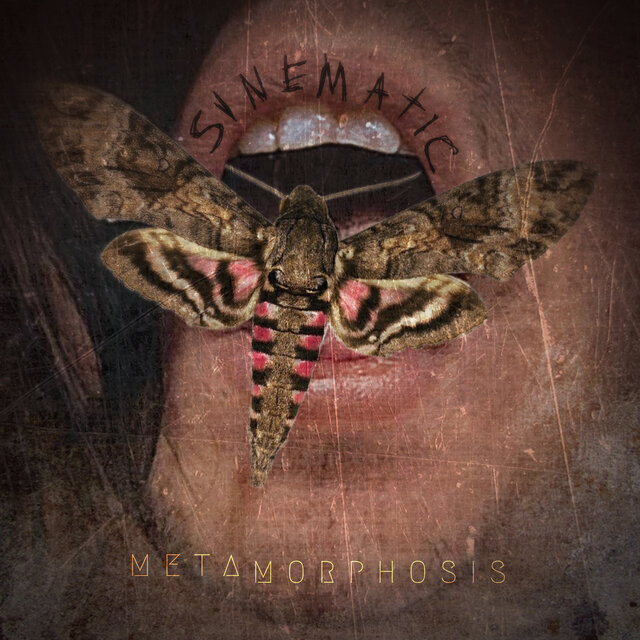 Metamorphosis