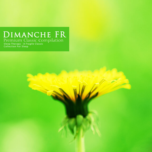 A Fragrant Classical Collection for Sleep