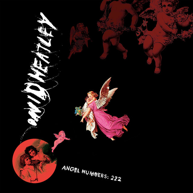 Angel Numbers: 222