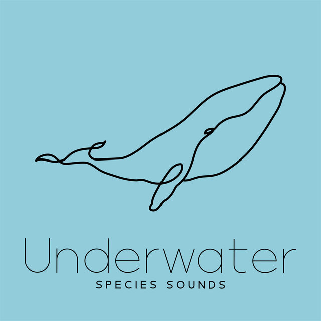 Underwater Species Sounds: Top Level Relaxation for Insomnia
