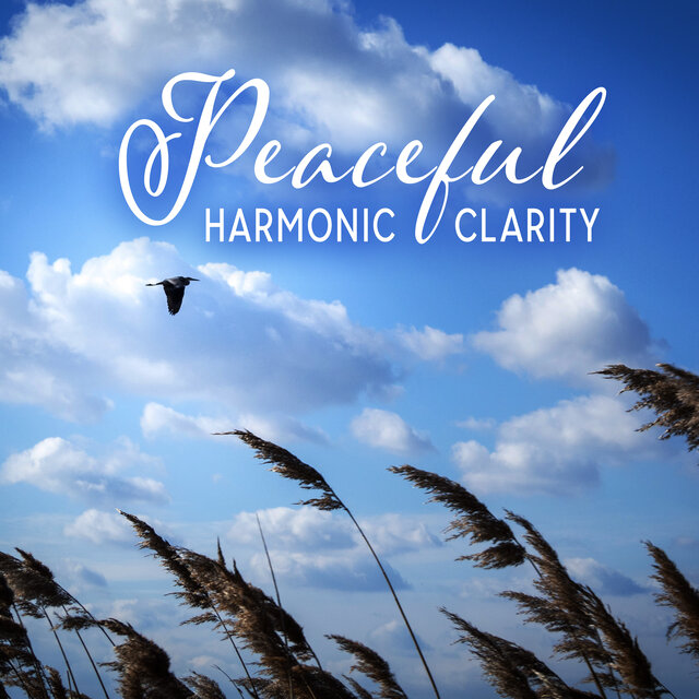 Peaceful Harmonic Clarity: The New Age Meditation Mantra, Gentle Surround 440 Hz Binaural Background Sounds