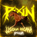 LLEGUA INZANA