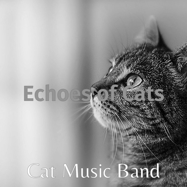 Echoes of Cats