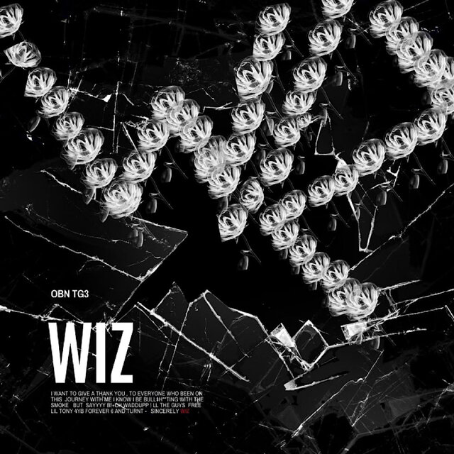 50 WIZ