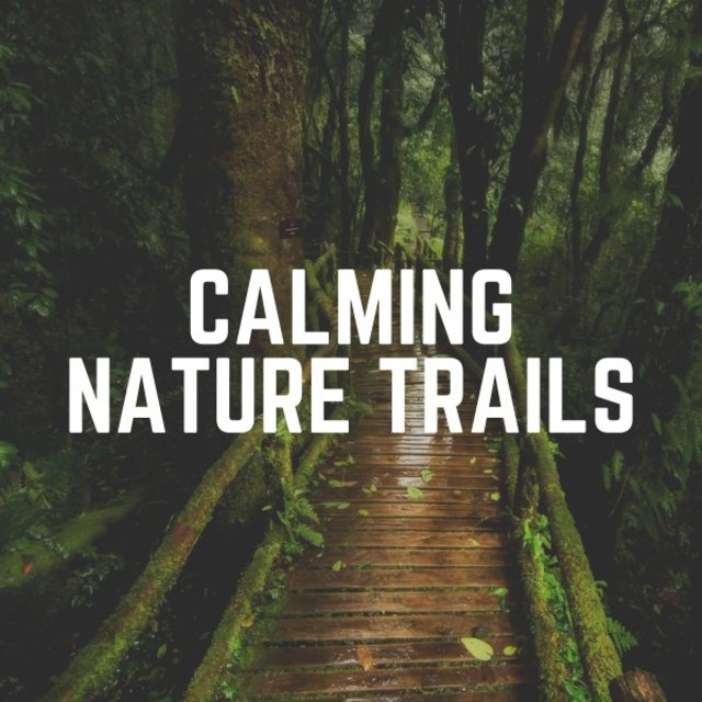 Calming Nature Trails