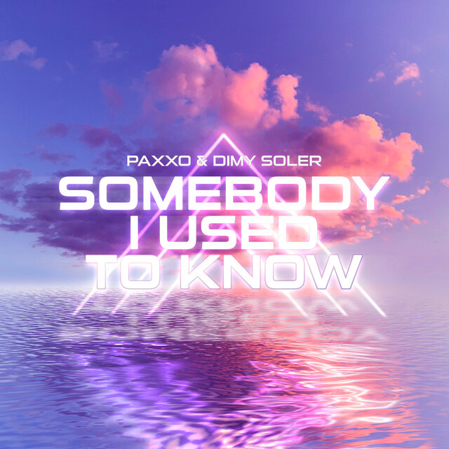 Somebody I Used To Know (Vip Mix)
