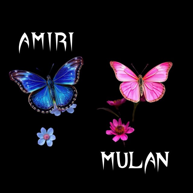 Amiri N Mulan