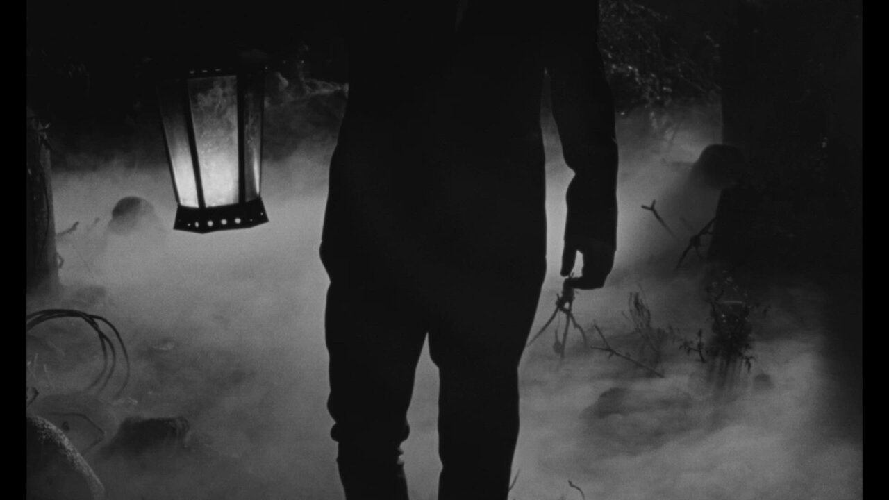 NOT WITHOUT MY GHOSTS (feat. Phem)
