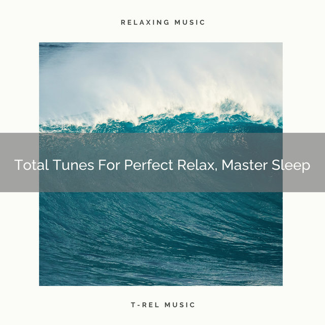 Total Tunes For Perfect Relax, Master Sleep