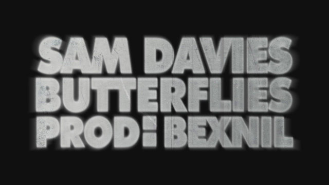 Butterflies