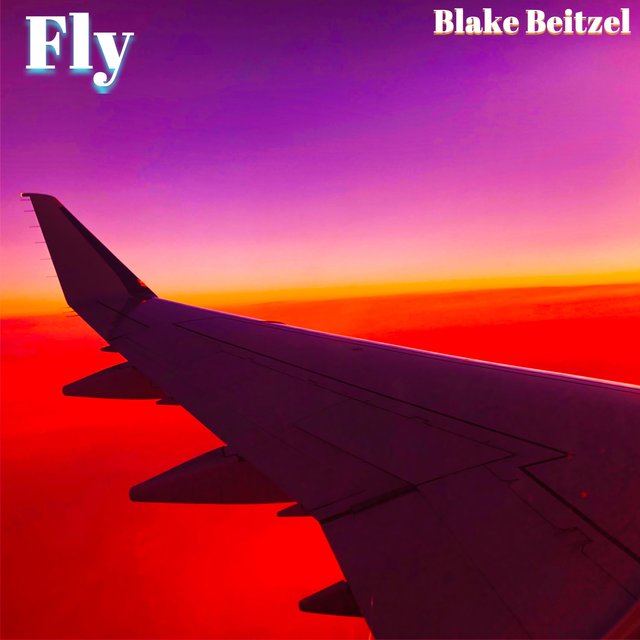 Fly