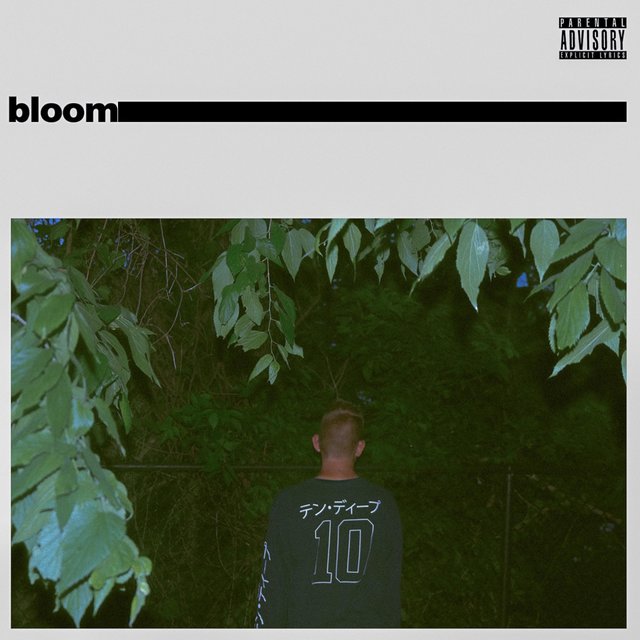 Bloom