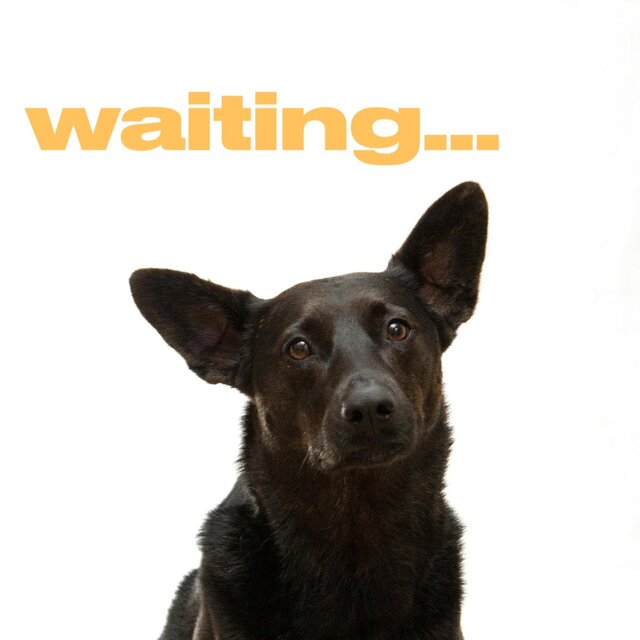 waiting...