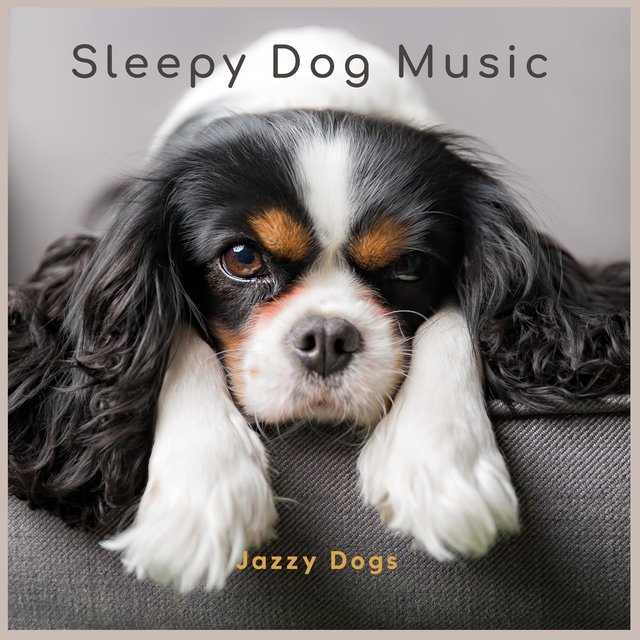 Jazzy Dogs