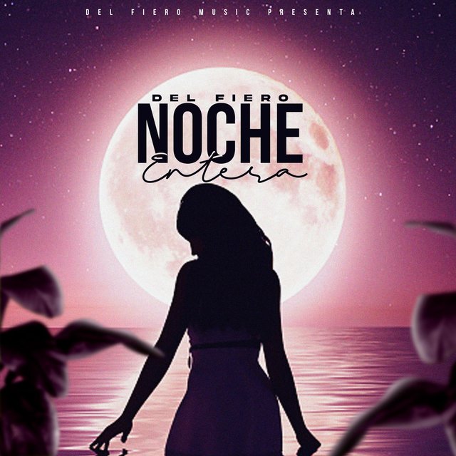 Noche Entera