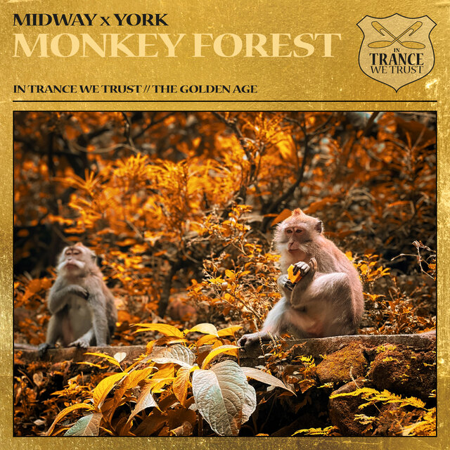 Monkey Forest