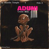 Aduni