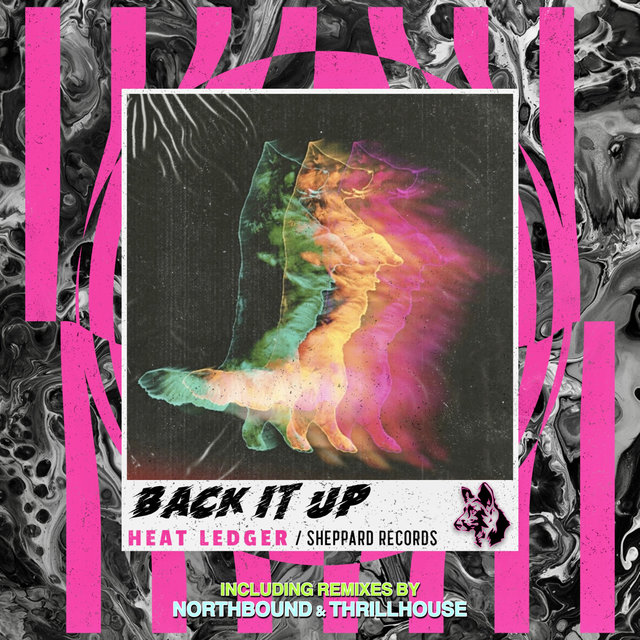Back It Up