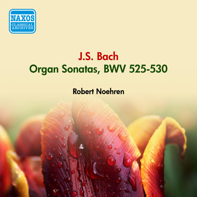 Bach, J.S.: Organ Sonatas, Bwv 525-530 (Noehren) (1950)