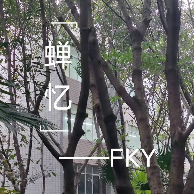 所以，我们