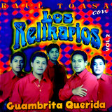 El Borrador