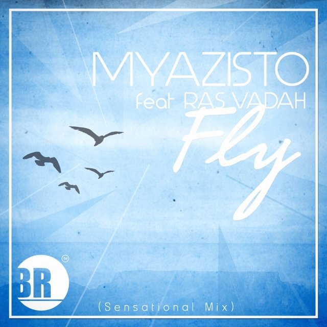 Fly