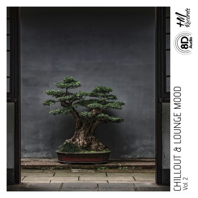 Chillout & Lounge Mood, Vol. 2 (8D Audio Versions)