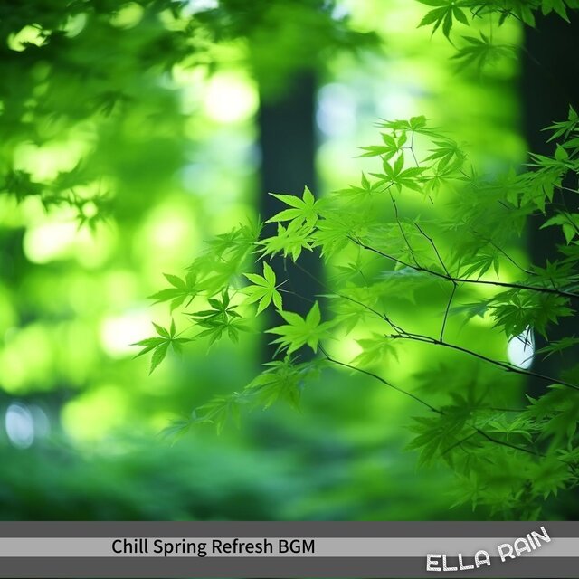 Chill Spring Refresh Bgm