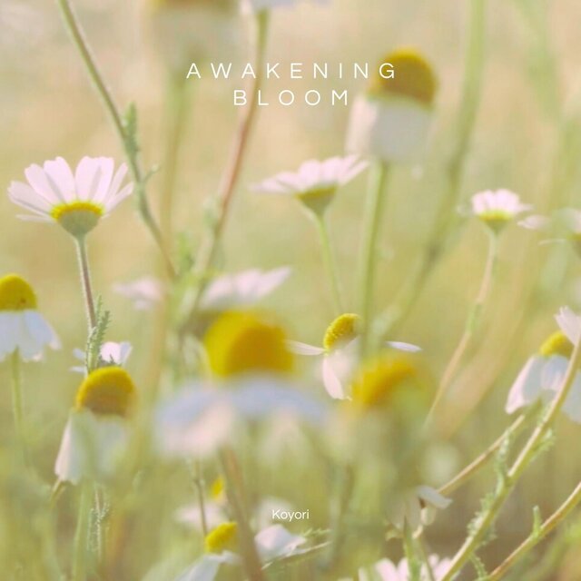 Awakening Bloom