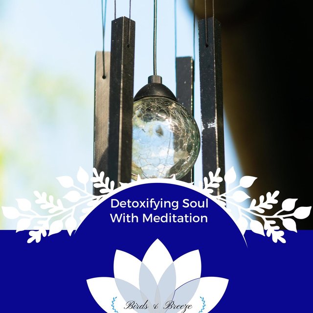 Detoxifying Soul With Meditation