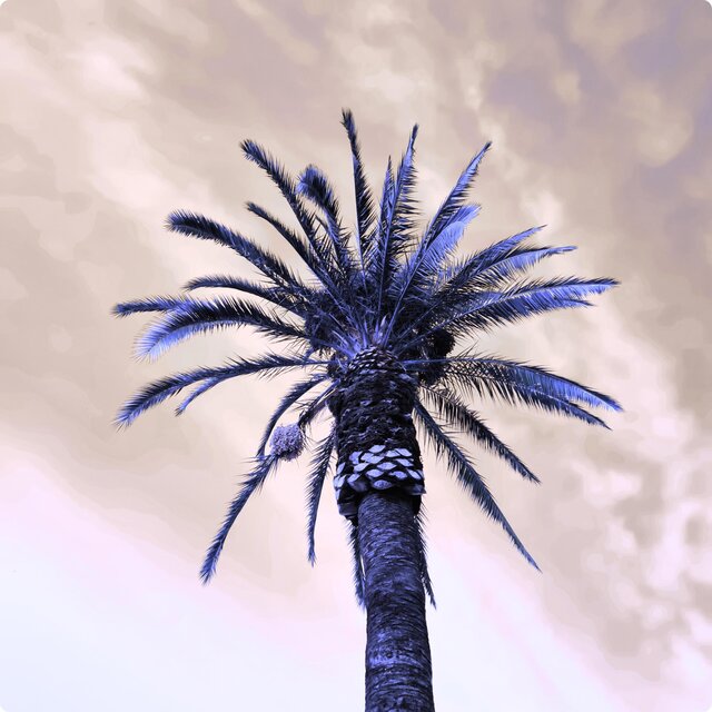 Invierno