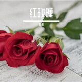 红玫瑰