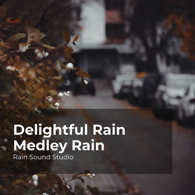 Delightful Rain Medley Rain