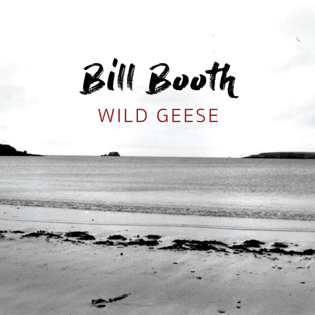 Wild Geese