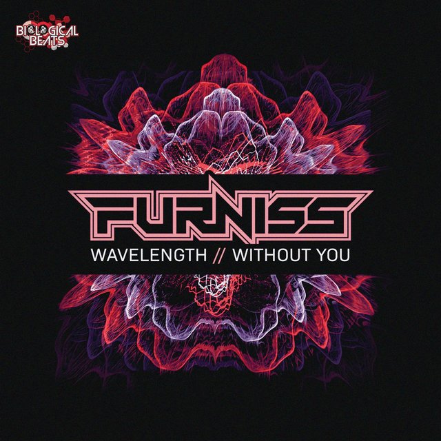Wavelength / Without You
