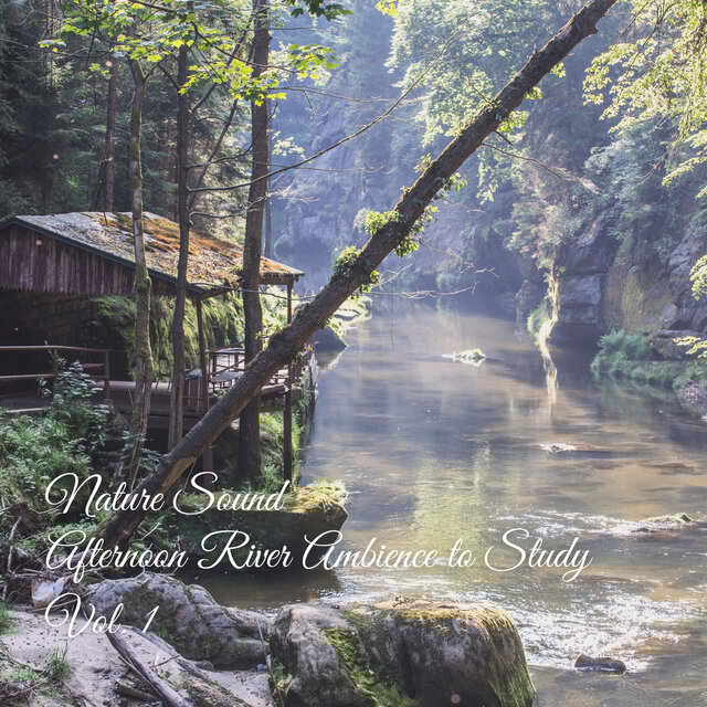 Nature Sound: Afternoon River Ambience to Study Vol. 1