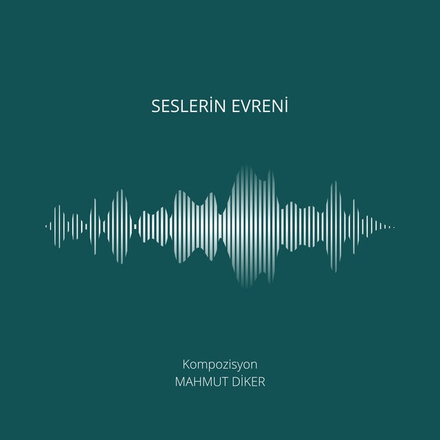 Seslerin Evreni