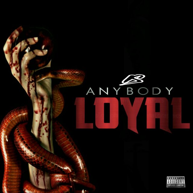 Is Anybody Loyal