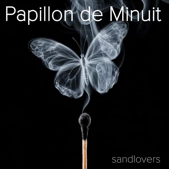 Papillon de Minuit