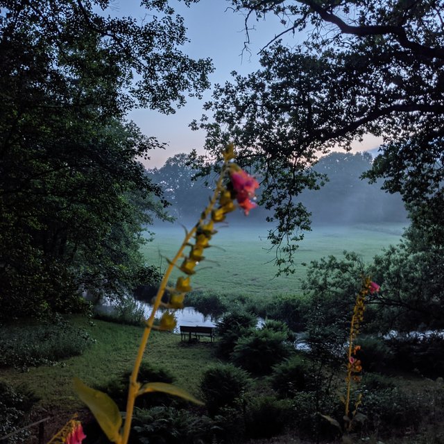 Blätterfall