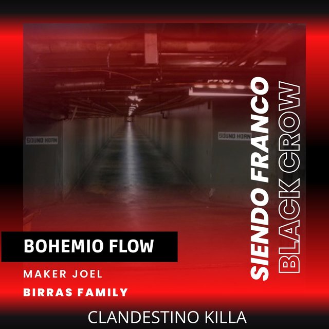 Bohemio Flow